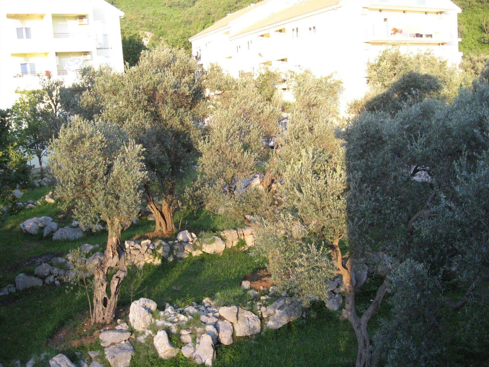 Villa San Marco Budva Zewnętrze zdjęcie